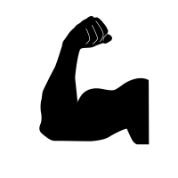 musculos vecto